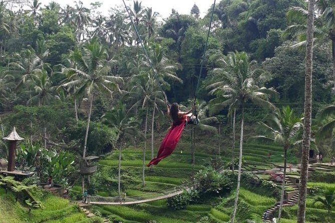 Bali Private 3 Days Tour Package Highlight - Price and value: what $70 gets you in real terms