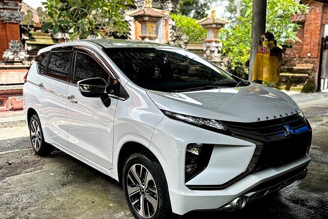 Bali Private Car Full Day Customized Tour With Drone Service - A Bali day built around a private car, not bus math