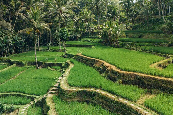 Bali Private Car Full Day Customized Tour With Drone Service - Temples and UNESCO rice terraces: Taman Ayun, Jatiluwih, and Beratan