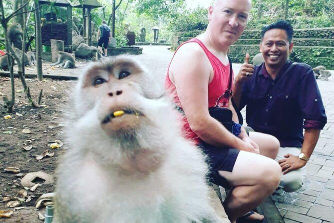Bali Private Custom Tour - Bali Car Hire with Driver - The core experience: a driver + a customizable day