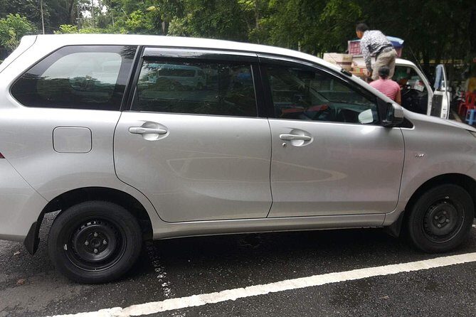 Bali Private Tour - Car with Driver - Who This Private Car Tour Suits Best (And Who Might Want Something Else)