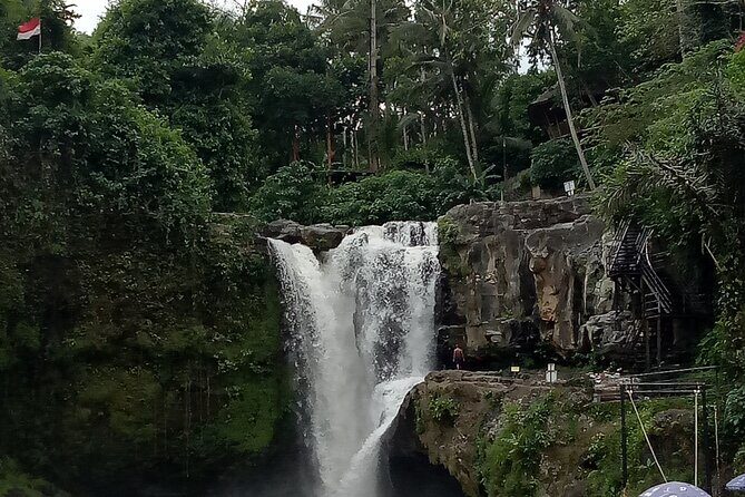 Bali Private Tour Guide And Driver - The guide matters: what people consistently praise
