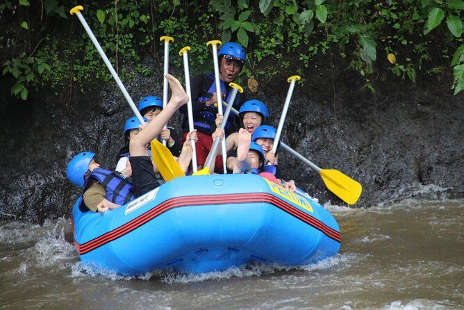 Bali Private Tour Guide And Driver - Included and not included: what to budget around