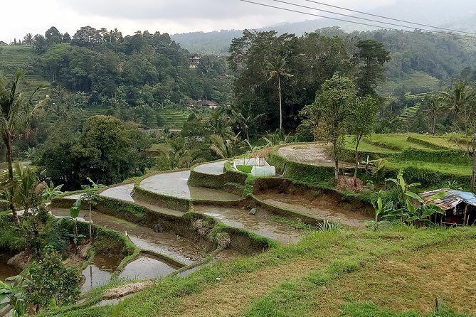 Bali Private Tour Guide And Driver - How the 8–10 hour format works in real life
