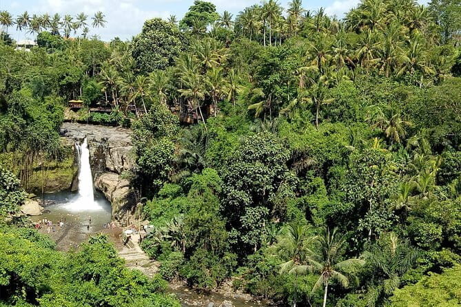 Bali Private Tour: Waterfall, Monkey forest and Tanah lot sunset - Nusa Dua pickup and your private driver-guide setup