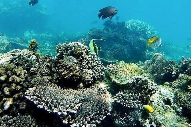 Bali Private Tour: Waterfall, Monkey forest and Tanah lot sunset - Tanah Lot Temple at sunset: the sea-surrounded payoff