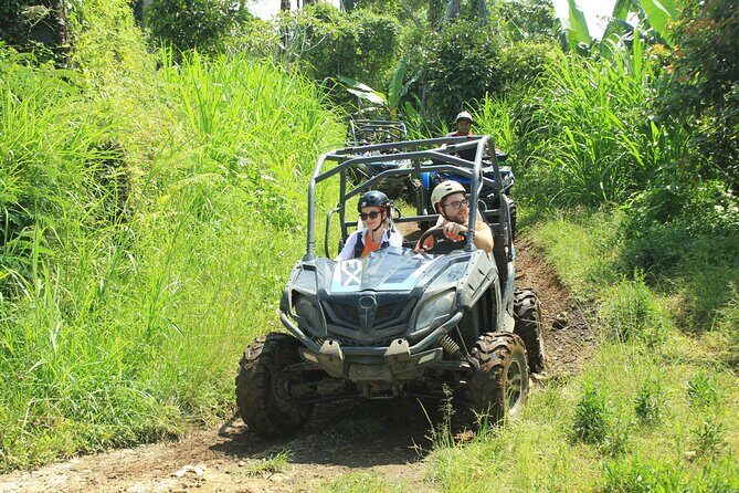 Bali Quad and Buggy Discovery Tour, Including Round-Trip Transfer - Lunch at a Local Buffet: Fuel for the Ride (Not a Token Bite)