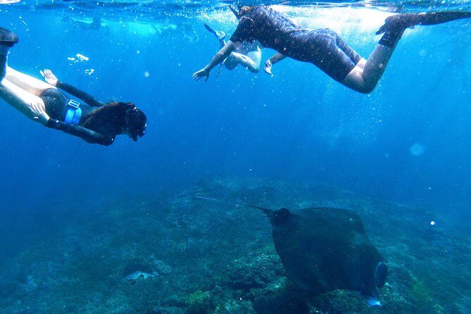 Bali Scuba Diving at Nusa Penida Manta Point For Certified Diver - Guides and attention: why names like Ketut and Dul matter