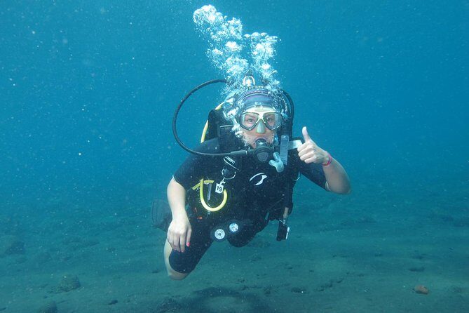 Bali Scuba Diving trip at Tulamben for Certified Diver - What you might see around the USS Liberty wreck