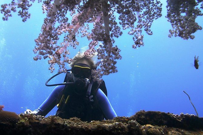 Bali Scuba Diving trip at Tulamben for Certified Diver - Intro vs certified plan: what changes based on your scuba level