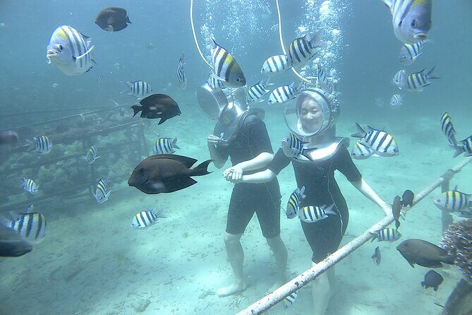 Bali Seawalker - Seawalker in Nusa Dua: What This Experience Feels Like