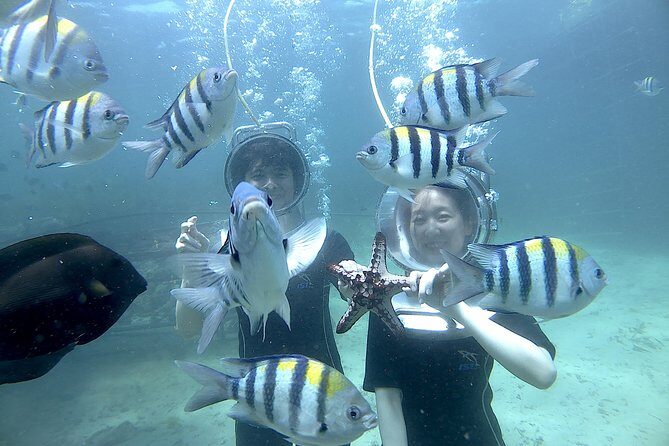 Bali Seawalker - Who Should Book Seawalker (and Who Might Skip It)