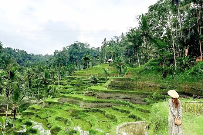 Bali Shore Excursions : Best of Bali Tour - What’s not included: lunch and extra photo costs