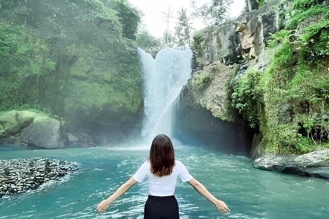 Bali Shore Excursions : Best of Bali Tour - Your driver-guide experience: narration you can actually use