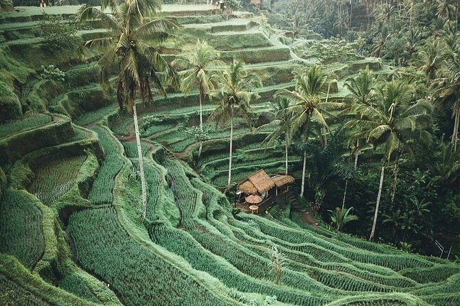 Bali Tour Customized With Local Guide - East Bali essentials: Lempuyang Sky Gate (Heaven), Goa Lawah, Kertha Gosa, and Tirta Gangga