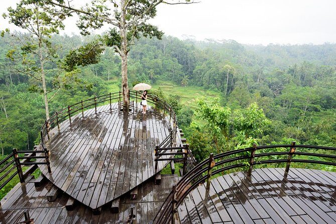 Bali Ubud & Kintamani Volcano Tour -All Inclusive - The Second Tegallalang Rice Terrace Mention: Don’t Assume It’s Meaningless