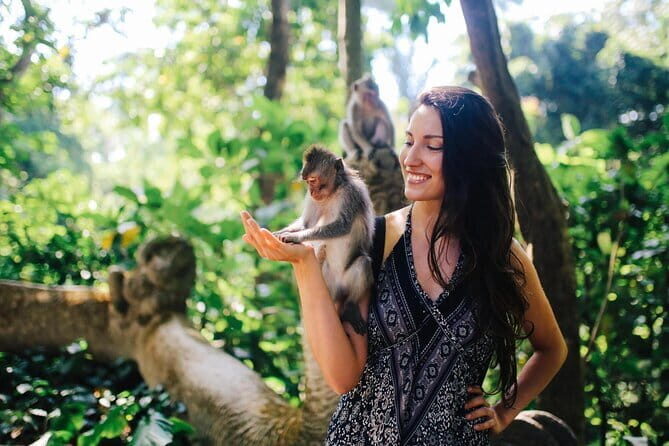 Bali: Ubud (Temple, Spring, Rice Terraces, & Waterfall) - Ubud Day in One Tight Loop: Temples, Terraces, Swing, Waterfall