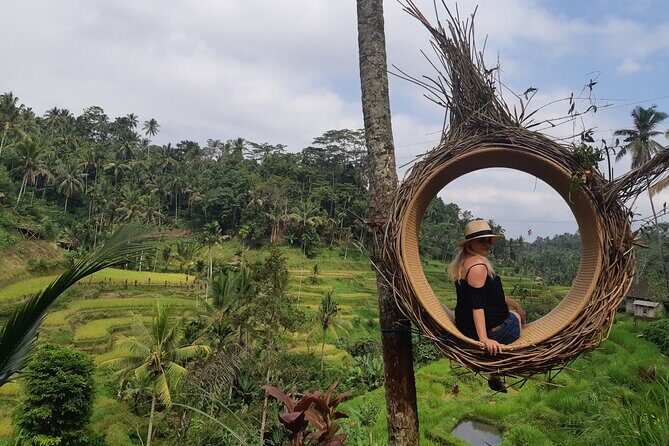 Best Bali Ubud Full Day All-Inclusive Private Tour - Price and Value: What $73 Covers (and What Costs Extra)
