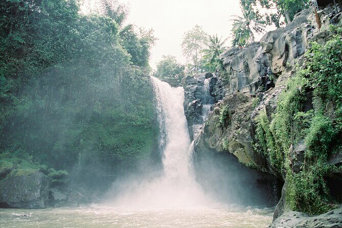 Best Day Tour - #1 Ubud Top Attraction - A private Bali day from Nusa Dua that actually saves energy