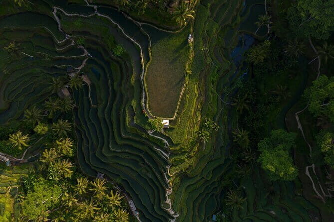 Best Day Tour - #3 World Cleanest Traditional Village - Timing and route basics from Kuta (and why 8:00 am matters)