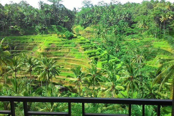Best of Bali : Ubud, Rice terrace, Tanah lot temple with Lunch - A one-day Bali “best of” plan that actually works