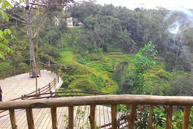 Best of Bali : Ubud, Rice terrace, Tanah lot temple with Lunch - Uma Pakel Agro Tourism: coffee, chocolate, and the plants in between