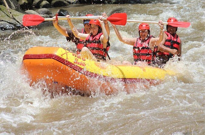 Best of Ubud Adventure: Ayung Rafting - ATV - Quad Bike with Private Transport - Who this adventure day fits best