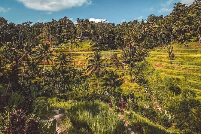 Best Of Ubud Private Day Tour With Local Guide - Stop 4: Tegenungan Waterfall with a full hour to enjoy it