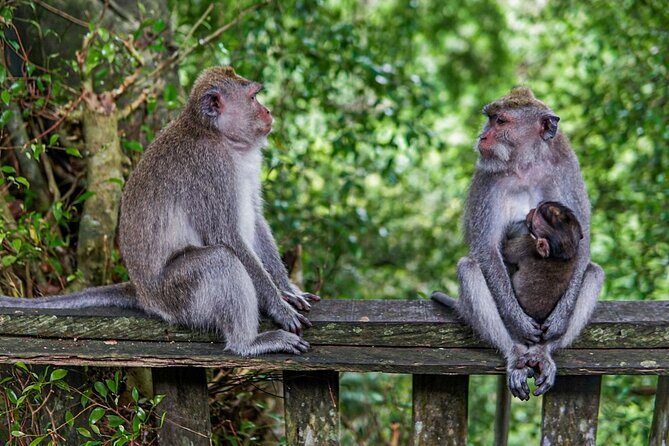 Best Of Ubud Private Day Tour With Local Guide - How the private local guide changes the day