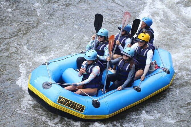 Best Of Ubud Rafting And Swing All Inclusive - Price and value at $48 per person: what you get for the money