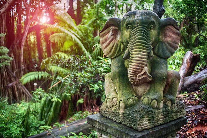 Best of Ubud Sightseeing Private All Inclusive Tour - Tegalalang Rice Terrace: Subak irrigation lessons with time to walk