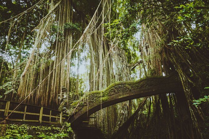 Best of Ubud Sightseeing Private All Inclusive Tour - Tegenungan Waterfall and Batuan Temple: mist, pool time, then calmer temple details