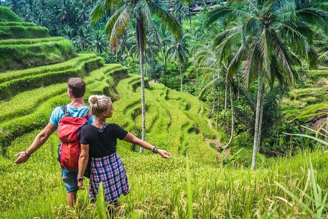 Best of Ubud Sightseeing Private All Inclusive Tour - Price and value: where $46 per person really pays off