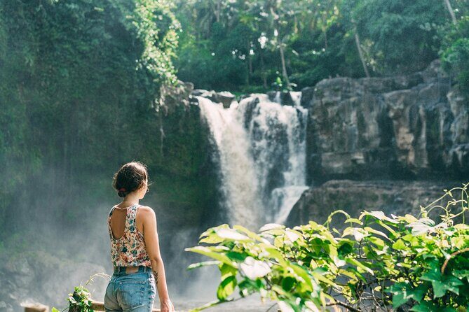 Best of Ubud Sightseeing Private All Inclusive Tour - Door-to-door pickup and air-conditioned transport: the real comfort upgrade