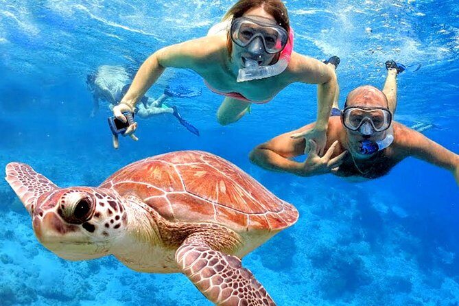Blow Lagoon Bali Snorkeling and see Bali Bats Cave Temple - Door-to-door transfers from Kuta and Ubud (and why it matters)