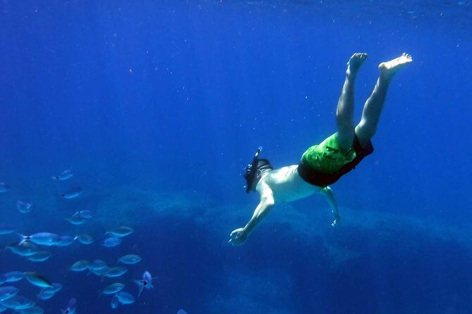 Blow Lagoon Bali Snorkeling and see Bali Bats Cave Temple - Who this tour fits best (and who should skip it)