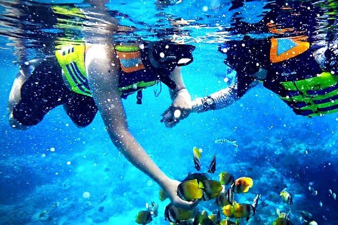 Blue Lagoon Paradise Snorkeling Tour - Key highlights to know before you go