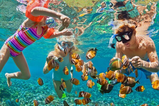 Blue Lagoon Snorkeling - Cave Waterfall - And More - All Included + FREE Wi-Fi - Price and what you’re actually getting for $74.72