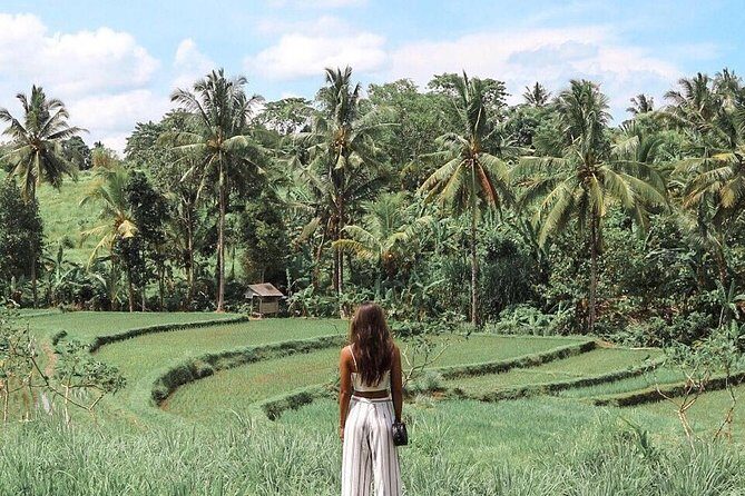 Blue Lagoon Snorkeling - Jungle Swing - Ubud - All Inclusive - Tegalalang Rice Terrace Walk: Famous for a Reason, but Go Slower