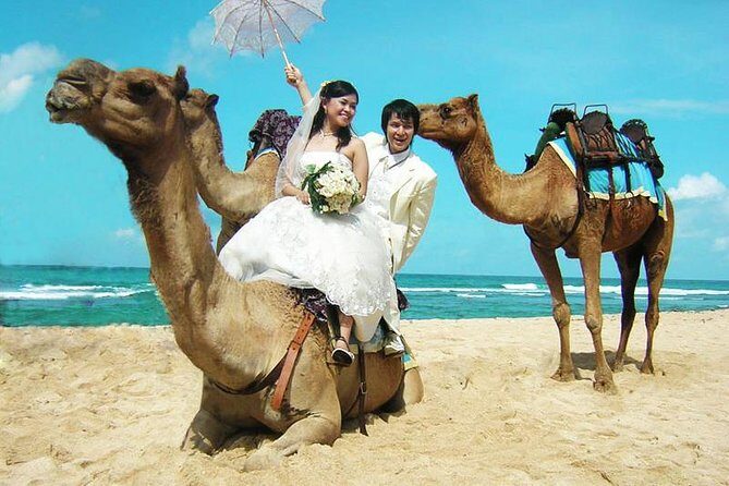 Camel Safari 30 minutes In White Sand Beach - Key Highlights to Know Before You Go