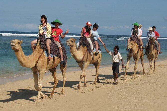 Camel Safari 30 minutes In White Sand Beach - Sawangan Beach Camel Safari: 30 Minutes of Photo-Ready Beach Time