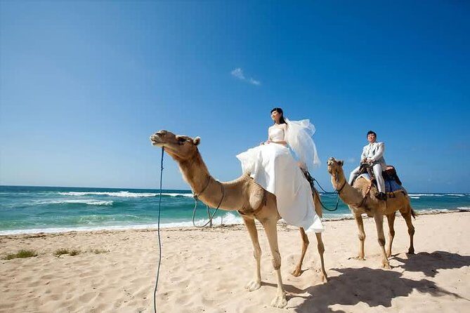 Camel Safari 30 minutes In White Sand Beach - Who Should Book This Camel Safari (and Who Might Want to Pass)