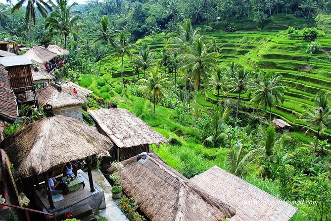 Charter Standard Vehicle with Driver at Bali- 5 Hours Usage - Pickup Times, Zone Limits, and How the 5 Hours Actually Works