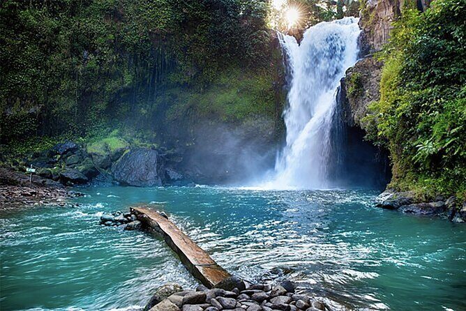 Customizable full-day tour of Bali with private driver - Ubud nature hits: monkey forest, optional swing, rice terraces, and Batuan