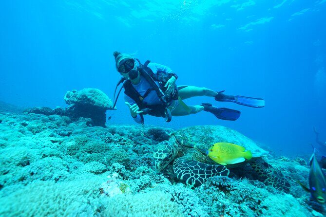 Day Trip Discover Scuba dive in Nusa Penida 2 dives (From Sanur - South Bali) - Key things to know before you go