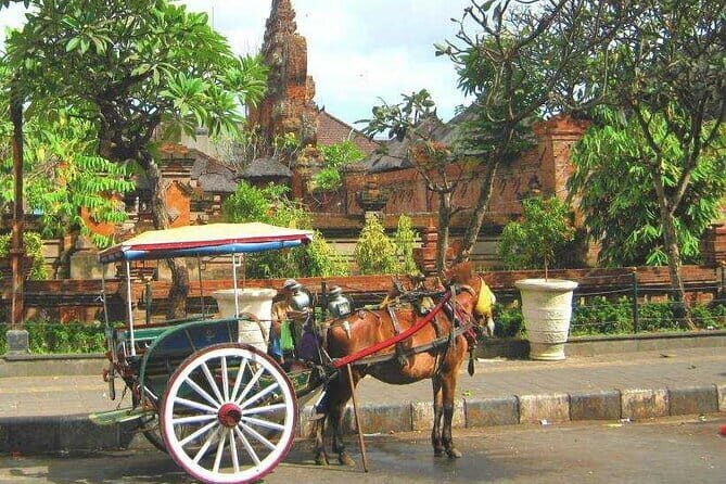 Discover Bali : Shore Excursion from Benoa Port with Free Wi-Fi - Key things to know before you go