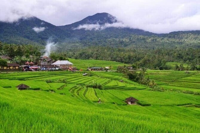 Discover Bali : Shore Excursion from Benoa Port with Free Wi-Fi - Guides that can actually run the day: Oki and Agus as examples