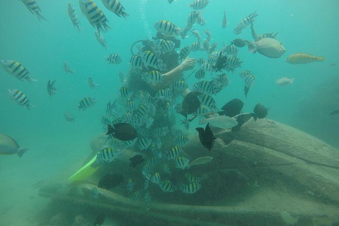 Discover Scuba Diving ( beginners) Combined With Jet Ski - Scuba basics: what you do, what you don’t do, and what you’ll see