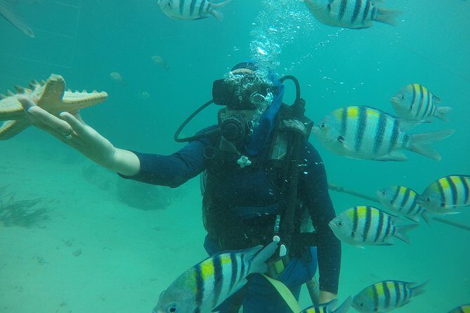 Discover Scuba Diving ( beginners) Combined With Jet Ski - The 1-hour flow: from pickup to Tanjung Benoa Water Sports