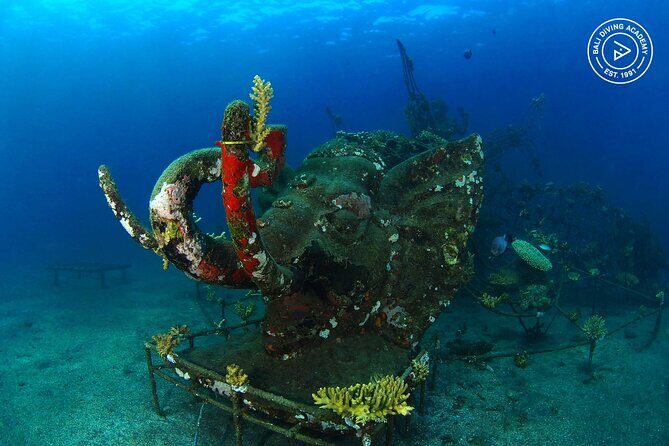 Discover Scuba Diving in Pemuteran at the Biorock site,1 shore dive all included - Price and Value: Why $75 Can Make Sense